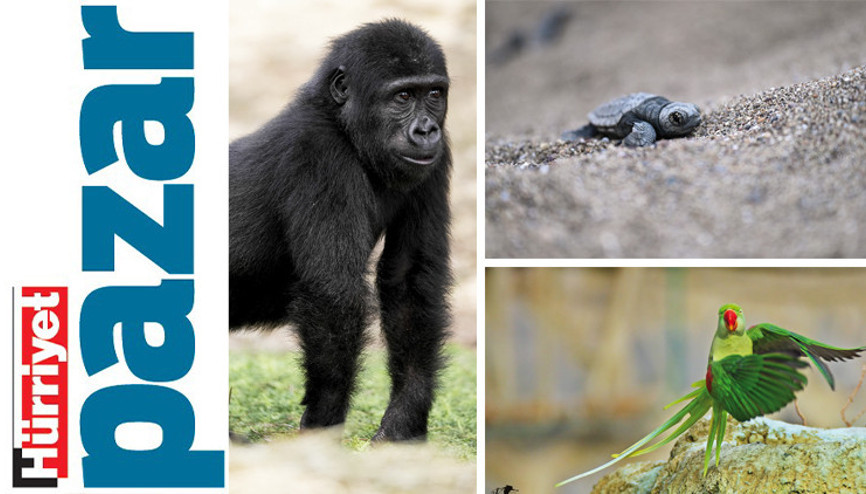 Dostlarımızdan ve tabiattan havadisler Dostlarımızdan ve tabiattan havadisler