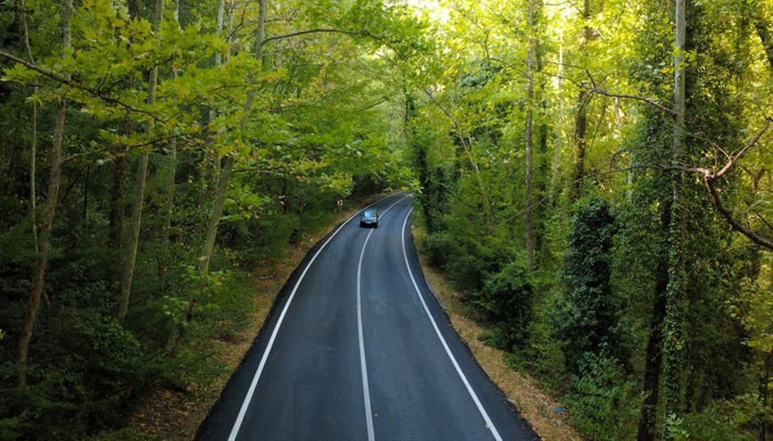 Safranbolu’nun doğa harikası: 5 kilometrelik ağaç tüneli