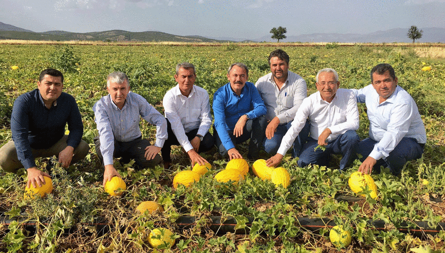 Asırlık miras Acıpayam kavunu tescillendi