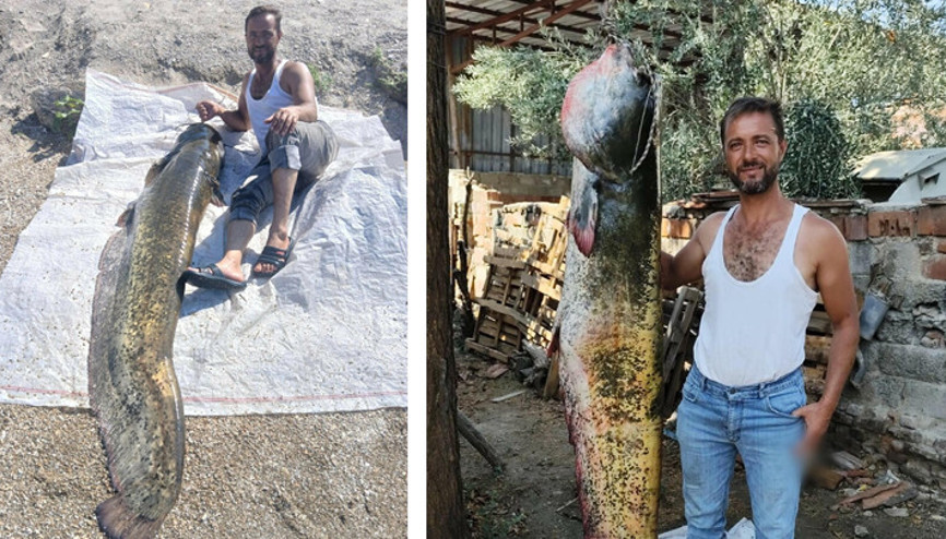 Manisada oltayla 2 metrelik balık yakaladı