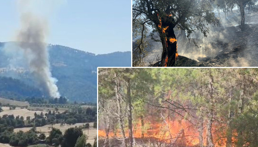 Denizli ve Aydında alevlerle mücadele