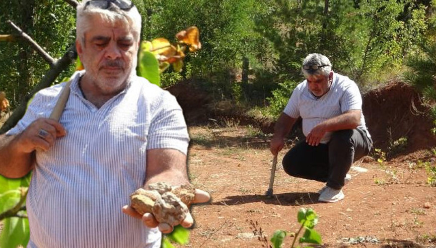 Gramı altınla yarışıyor Tek tek seçerek topraktan çıkarılıyor: Doğada anlaşılması çok zor