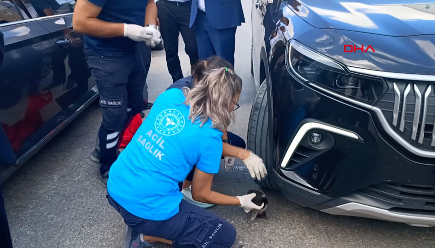 Bakan konvoyundaki araca giren yavru kediyi 112 ekipleri kurtardı