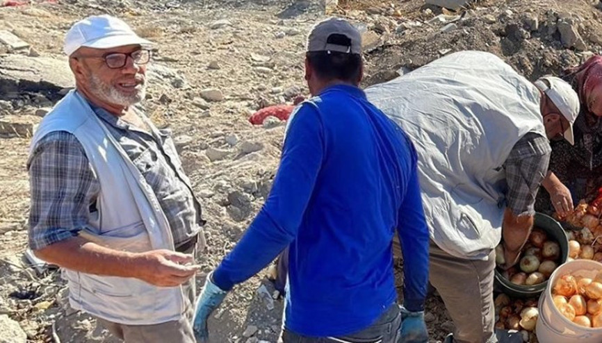 Boş araziye dökülen tonlarca soğanı vatandaşlar evine götürdü