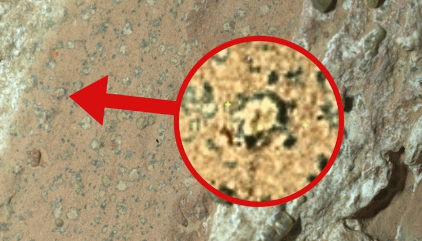 Mars’taki yaşam izleri ne anlama geliyor Astrobiyolog açıklıyor Mars’taki yaşam izleri ne anlama geliyor Astrobiyolog açıklıyor