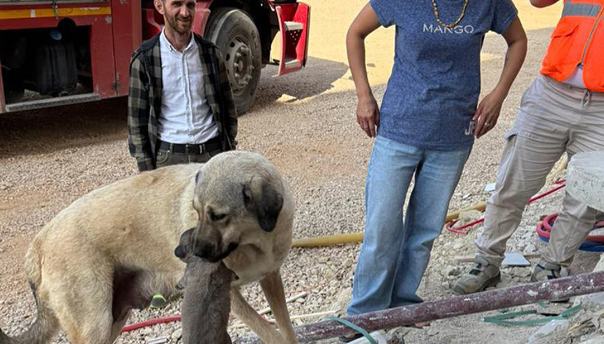 Antakya’da yürekleri ısıtan anlar: Bir an olsun başından ayrılmadı