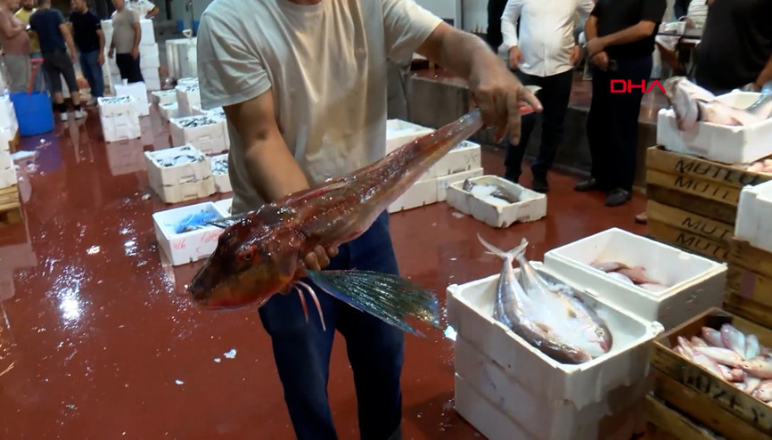 Akdenizde av yasağı kalktı; 1 kilo fiyatına 1 kasa balık Akdenizde av yasağı kalktı; 1 kilo fiyatına 1 kasa balık