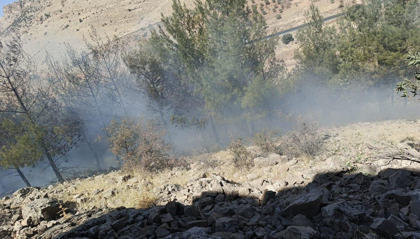 Mardin’de örtü yangını Mardin’de örtü yangını