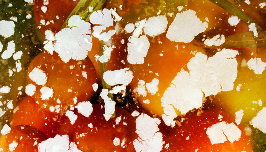 Turşu suyu neden bulanık olur Turşu suyunun bulanmaması için ne yapılmalı En sık yapılan hatalardan biri...