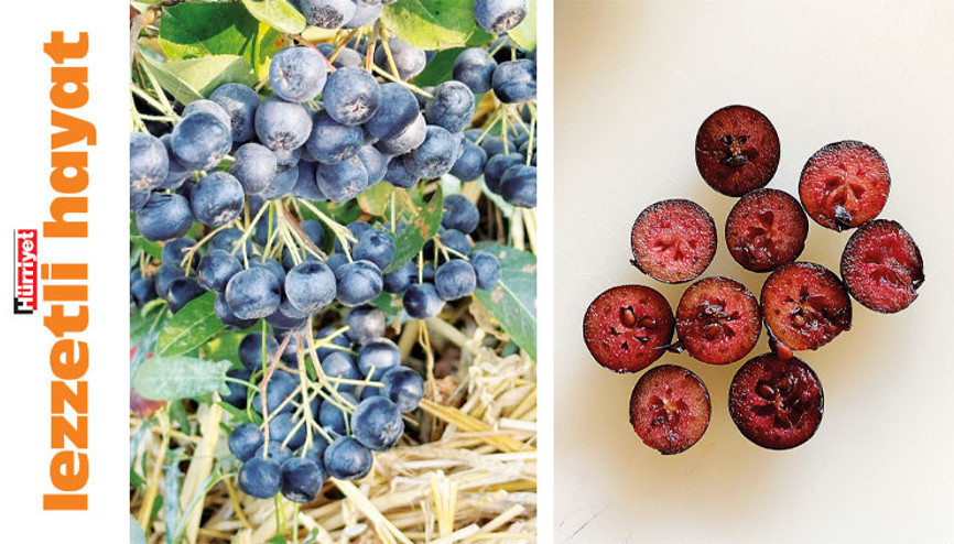 Tanındıkça yeniyor, yendikçe seviliyor