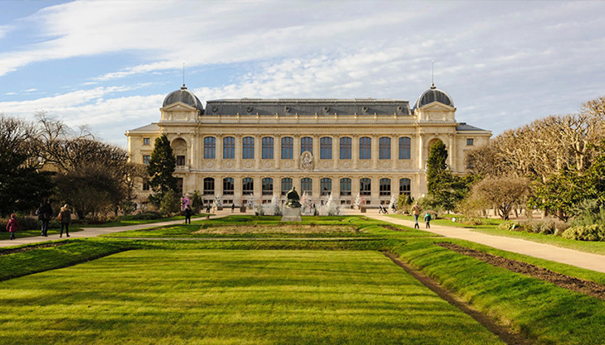Pariste müze soygunu: 700 bin dolarlık altın çalındı