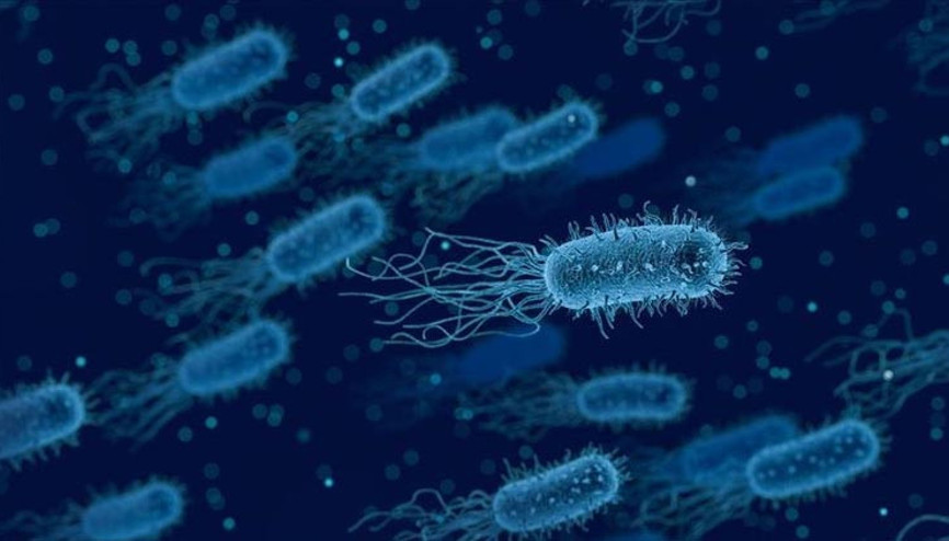 Koli basili tarih mi oluyor Yapay zekanın çığır açan buluşu