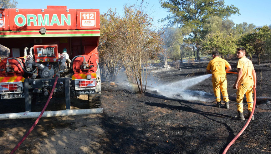 Nazillide tarım arazisindeki yangın, zeytin ağaçlarını yaktı Nazillide tarım arazisindeki yangın, zeytin ağaçlarını yaktı