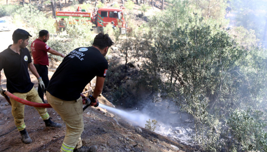 3 ildeki orman yangını kontrol altına alındı