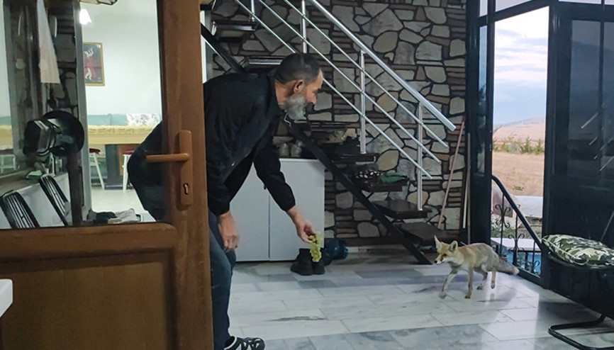 Henüz yavruyken evlerinin bahçesinde buldular, şimdi ailenin bir üyesi oldu