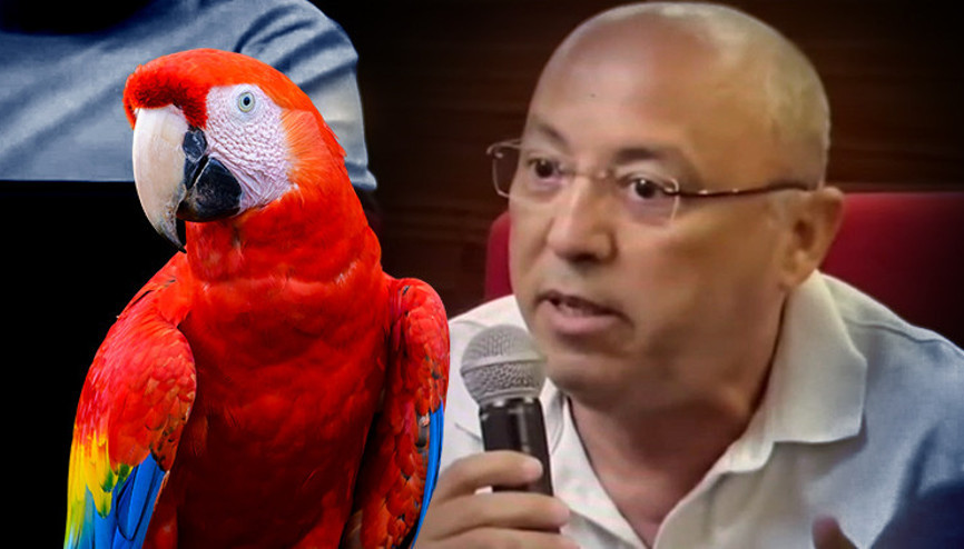 Papağan kararına tepki gösterdiler: 6 milyon avroya kadar zararımız var