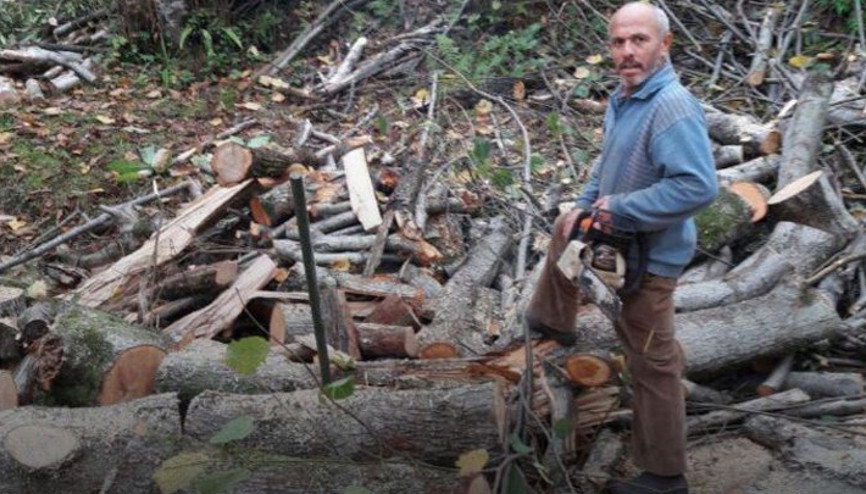 Kestiği ağacın altında kalarak hayatını kaybetti Kestiği ağacın altında kalarak hayatını kaybetti