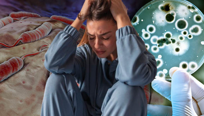 ‘Sessiz salgın’ alarm veriyor: 5 yılda yüzde 460 arttı Hızla yayılıyor, ölümcül oluyor… ‘Sessiz salgın’ alarm veriyor: 5 yılda yüzde 460 arttı Hızla yayılıyor, ölümcül oluyor…