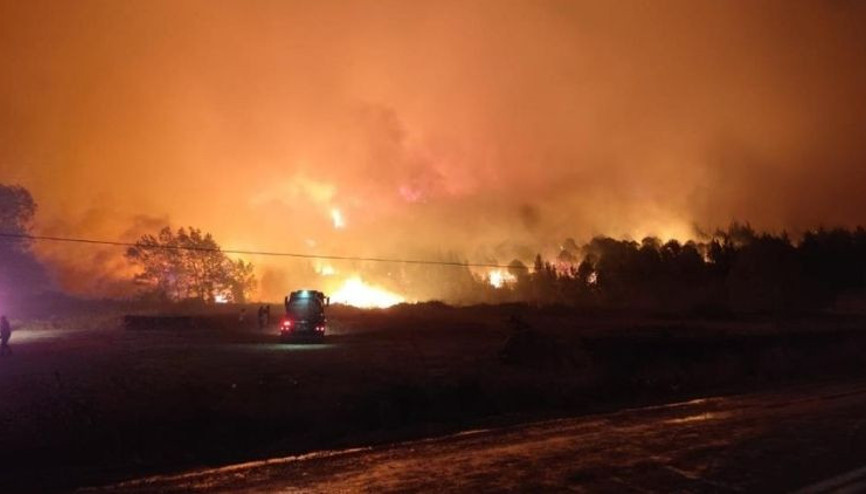 Bursada korkutan orman yangını, rüzgarın etkisiyle büyüdü... Müdahale sürüyor