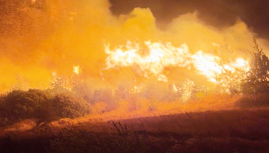 Bursa’da orman yangını... Alevler evlere dayandı