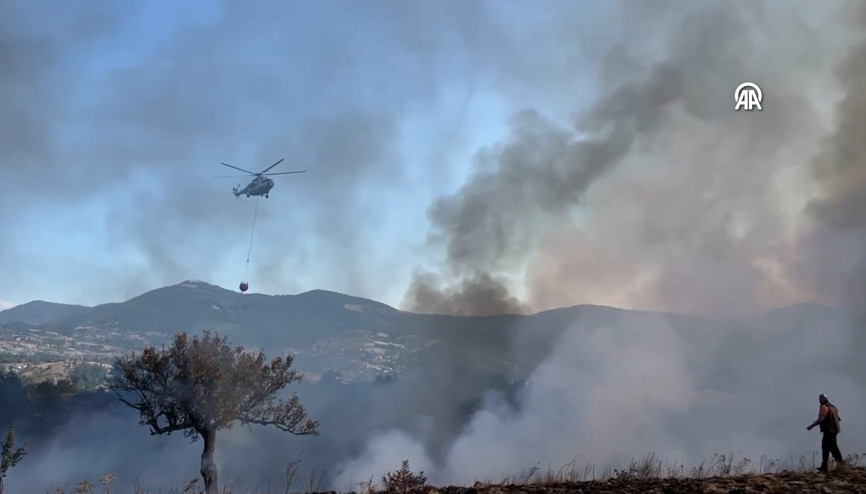 Bursada orman yangını