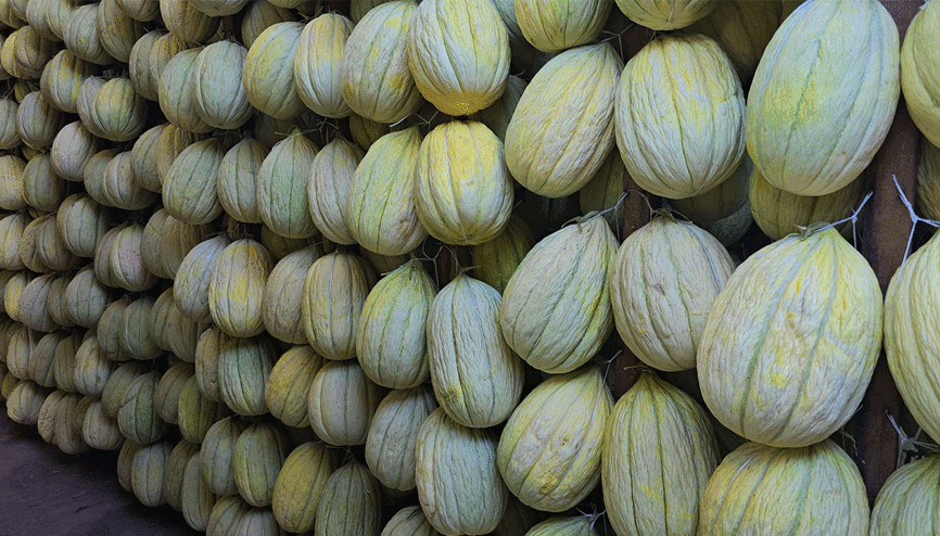 Avrupa tescilli lezzet askıda alıcısını bekliyor