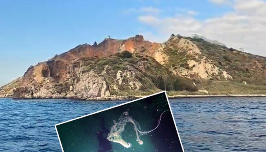 Marmarada büyük tehdit: 10 metre derinlikte görüldü