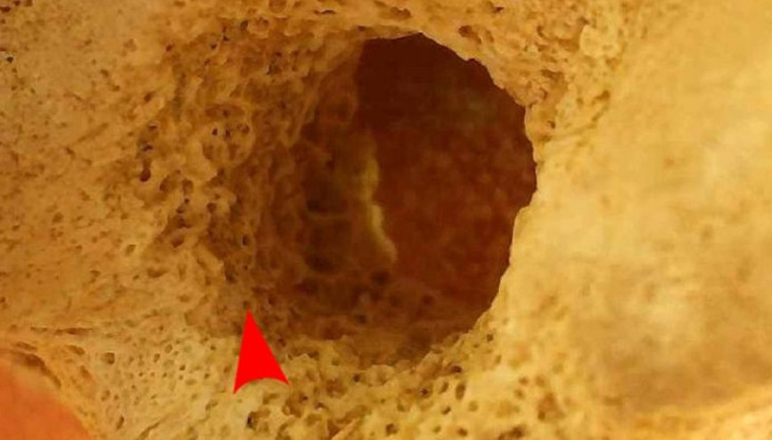 Eski Mısır polisleri de düdük kullanıyormuş