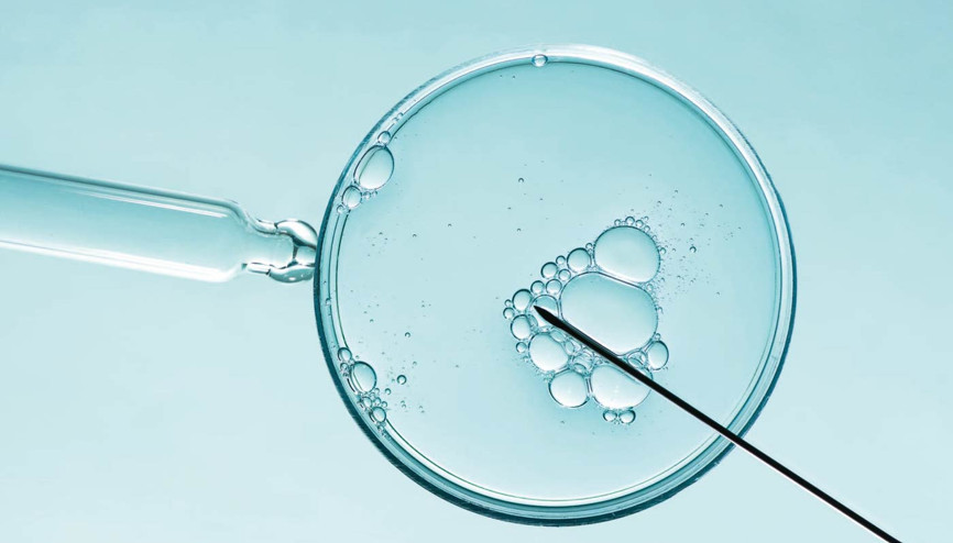 Deri hücresinden yumurta üretildi