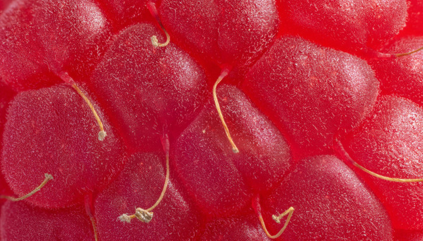 Neredeyse sıfır şeker Kalp hastalığından insüline iyi gelmediği şey yok... İşte her hafta mutlaka tüketmeniz gereken beş süper meyve Neredeyse sıfır şeker Kalp hastalığından insüline iyi gelmediği şey yok... İşte her hafta mutlaka tüketmeniz gereken beş süper meyve