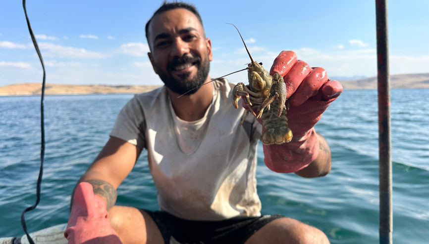 Şehrin stres ve kalabalığından sıkılıp köyüne döndü, tatlı su ıstakozu avına başladı