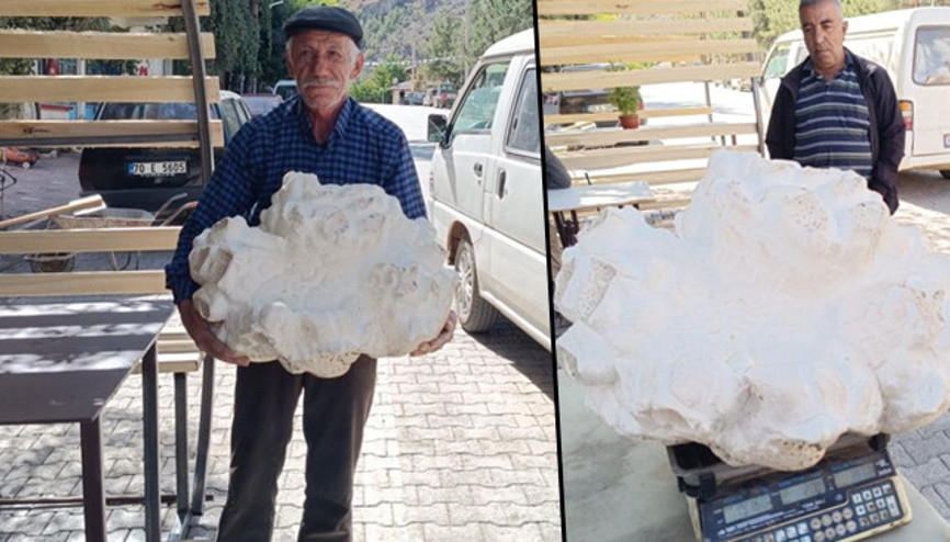 Yürüyüş yaparken buldu, alıp doğruca köyüne gitti Tam 19 kilo... | Böyle bir sürprizle karşılaşacağımı düşünmedim