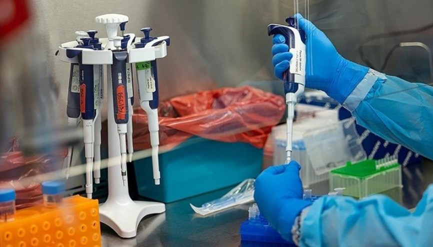 Maymun çiçeği vakaları artıyor, sayı 583e çıktı