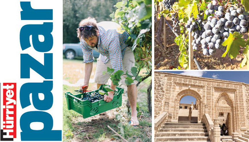 Bağbozumu daveti bu kez kadim bağlardan...