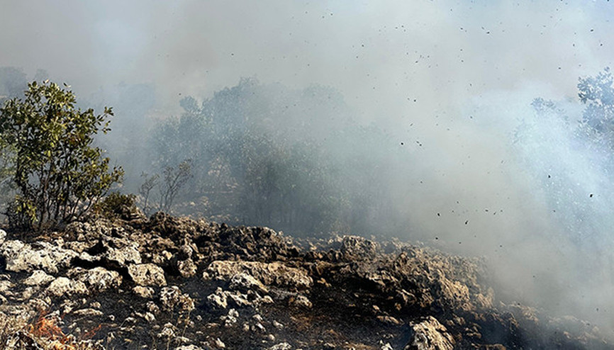 Diyarbakırda örtü yangını: Müdahale ediliyor