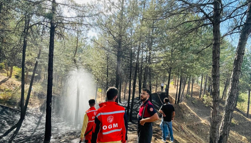 Genç’te çıkan orman yangını söndürüldü Genç’te çıkan orman yangını söndürüldü