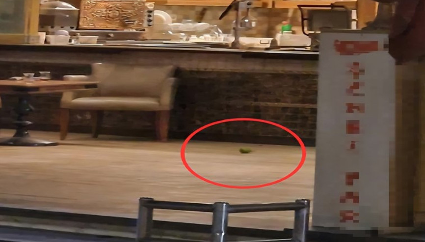 Yer: Adana 16 yaşındaki saldırgan pastaneye el bombası attı