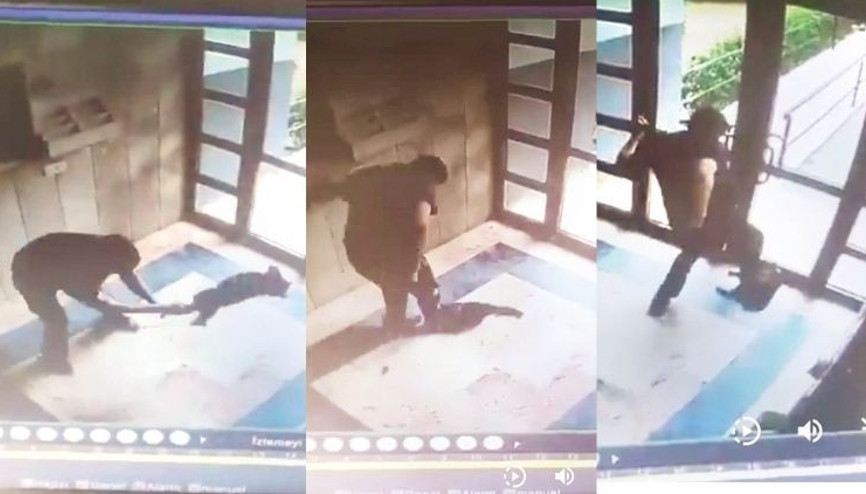 Cezveyi işkence ederek katletmişti Caninin aldığı ceza belli oldu Cezveyi işkence ederek katletmişti Caninin aldığı ceza belli oldu