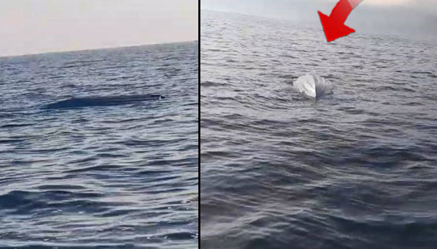 Karadeniz kıyılarında tedirgin eden cisim İnceleme başlatıldı