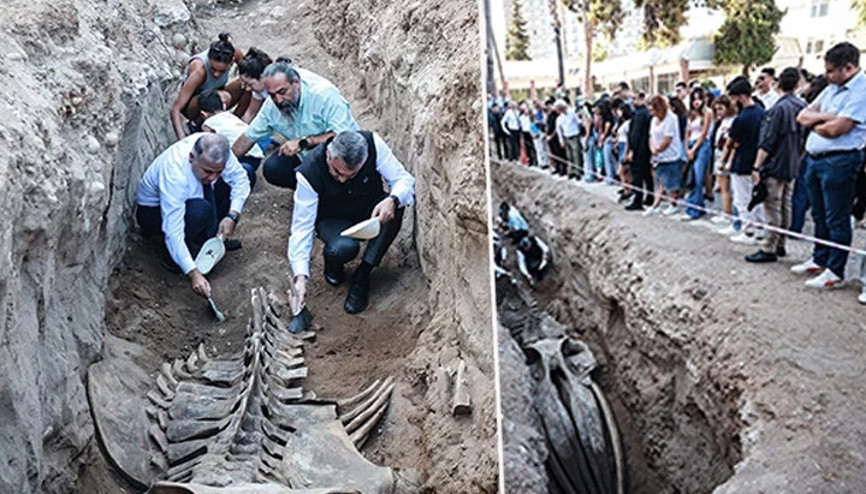 İki gün içinde tamamı topraktan çıkarılacak Tam 14 metre