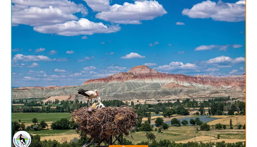 Etkileyici karelerle doğanın hikâyesi