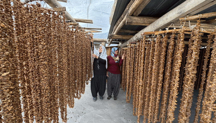 Elazığın tescilli lezzeti orcikin yapımına başlandı