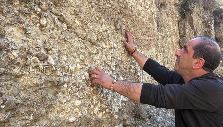 Erzurumda bulundu: 200 milyon yıllık Çok ilginç deniz canlıları var