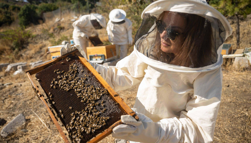 Bornovada arıcılık kursu, bal hasadıyla tamamlandı