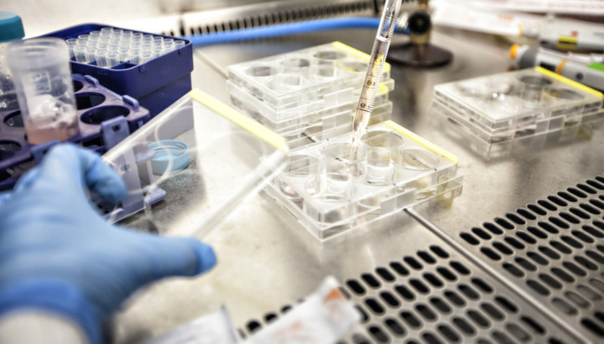 Tek testisle baba olunabilir mi