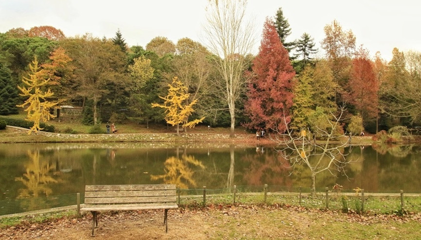 Doğanın kalbinde bir mola: Atatürk Arboretumu Doğanın kalbinde bir mola: Atatürk Arboretumu