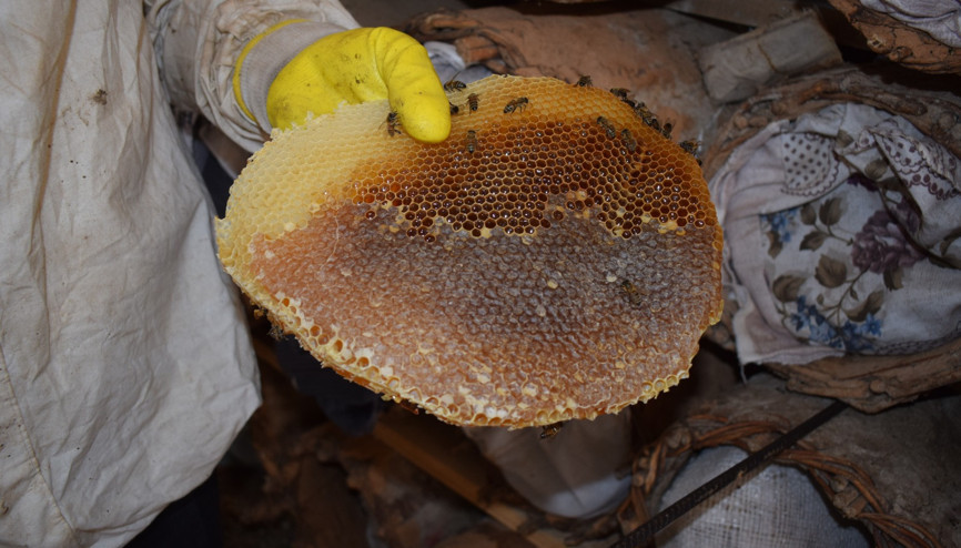 Babasının yaptığı kara kovan arıcılığı, zorlu arazi koşullarında 35 yıldır sürdürüyor