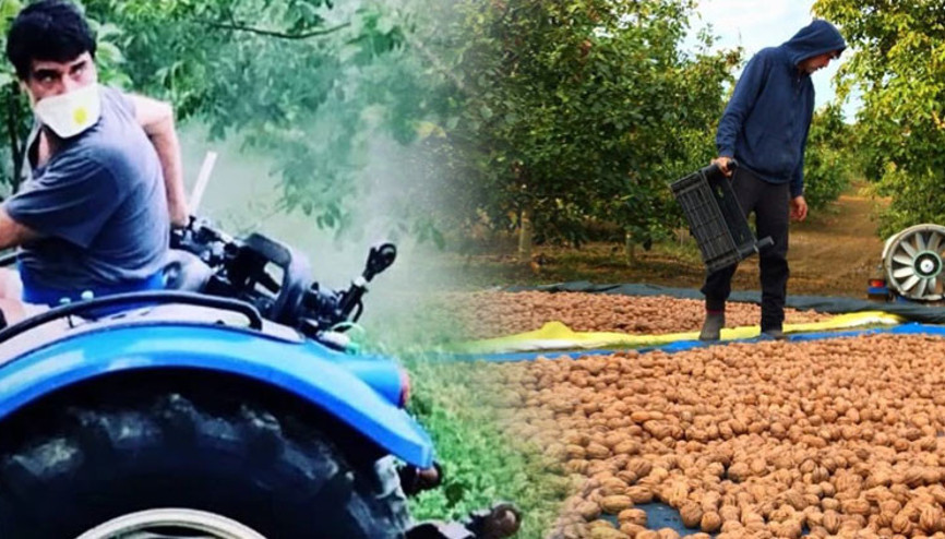 35 bin m2lik arsaya çiftlik kurmuştu... Ünlü oyuncu için hasat zamanı