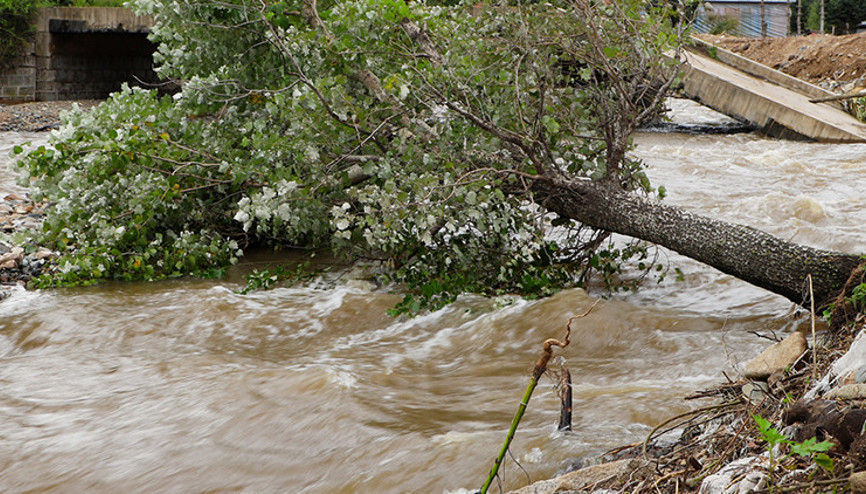 Meksikada şiddetli yağışlar can aldı 42 kişi hayatını kaybetti