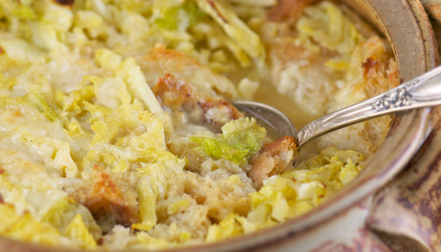 Salgınlar artıyor Korunmanın anahtarı bağırsak mikrobiyotanızda